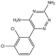 Lamotrigin2